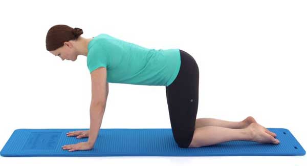 How core exercises can improve lower back pain?